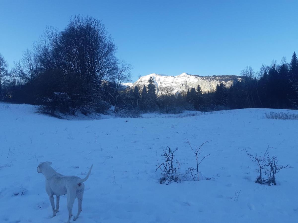 Appartement En Station De Ski A 700 M Des Telecabines Et 100 M Du Centre-Village لي كارو داراش المظهر الخارجي الصورة