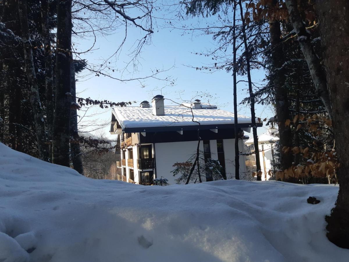 Appartement En Station De Ski A 700 M Des Telecabines Et 100 M Du Centre-Village لي كارو داراش المظهر الخارجي الصورة